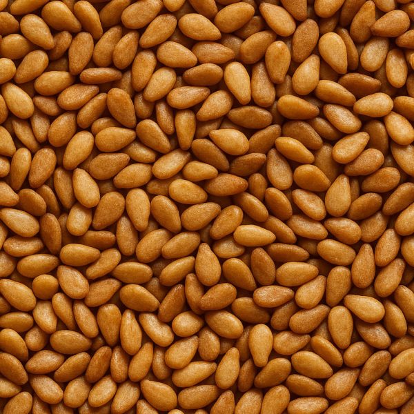 Sesame Seed Toasted - Dion Herbs and Spices