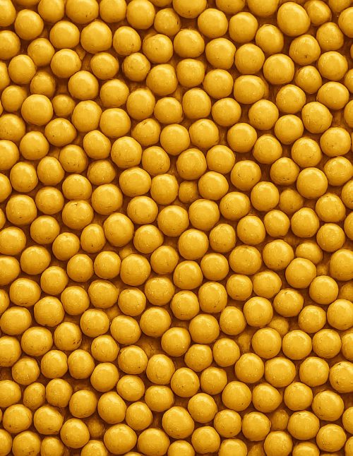 Mustard Seeds Organic - Dion Herbs and Spices