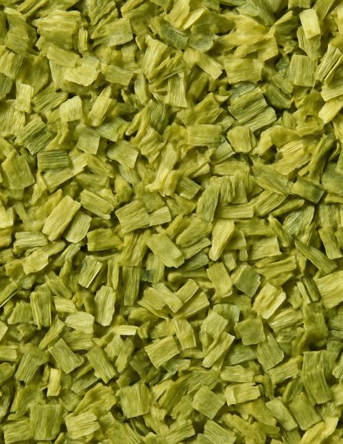 Onion Green - Dion Herbs and Spices