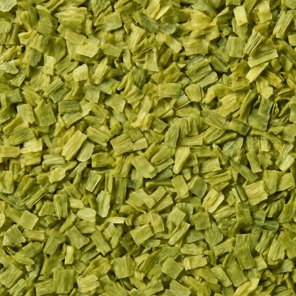 Onion Green - Dion Herbs and Spices