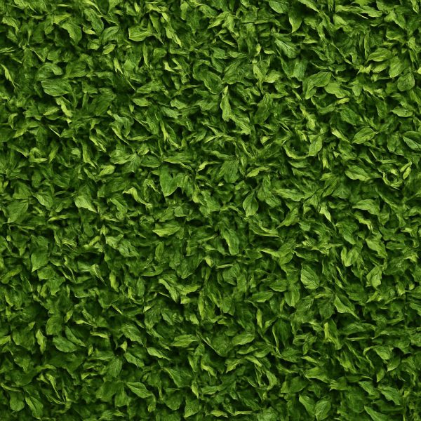 Parsley - Dion Herbs and Spices