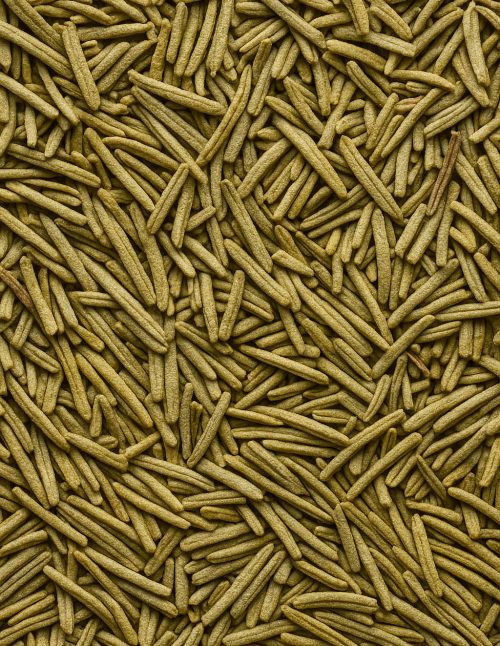 Rosemary - Dion Herbs and Spices