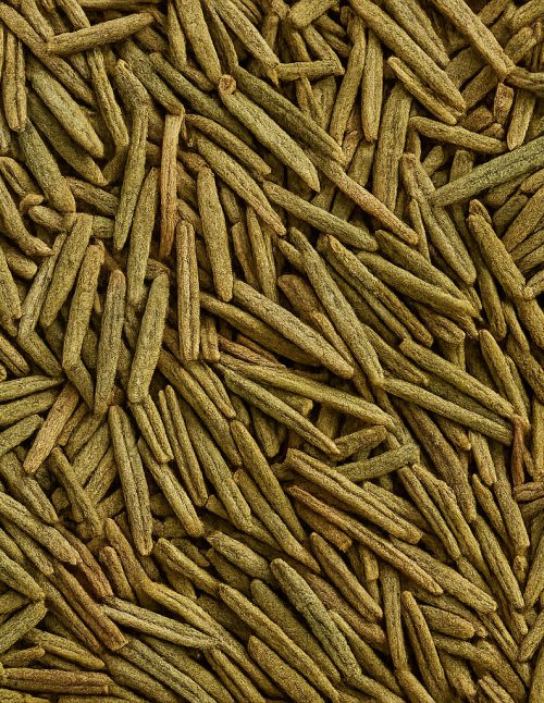 Rosemary Organic - Dion Herbs and Spices