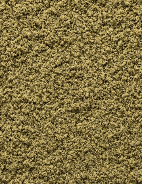 Sage Ground - Dion Herbs and Spices