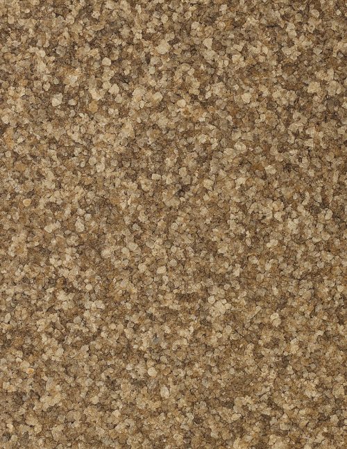 Celery Salt Organic - Dion Herbs and Spices