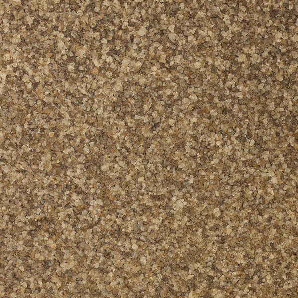 Celery Salt Organic - Dion Herbs and Spices