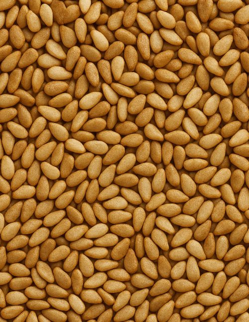 Sésame Bagel - Dion Herbs and Spices