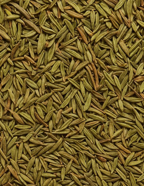 Thyme - Dion Herbs and Spices