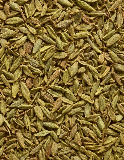 Thyme Organic - Dion Herbs and Spices