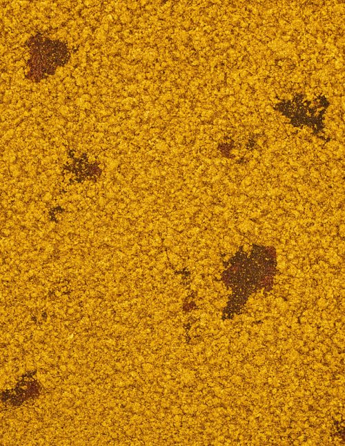 Indian Spice Mix Organic - Dion Herbs and Spices